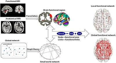 Multi-Modal Analysis of Resting-State fMRI Data in mTBI Patients and Association With Neuropsychological Outcomes